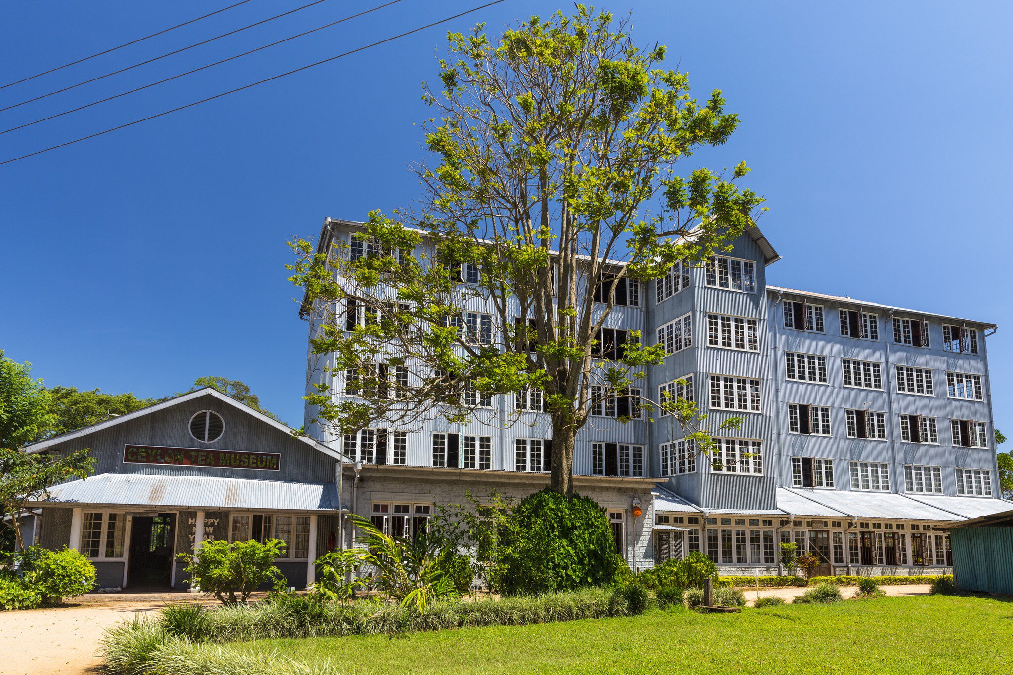 Ceylon Tea Museum